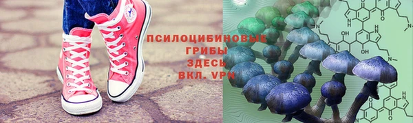 mdpv Богданович